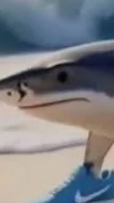 ai character: traralero tralara background