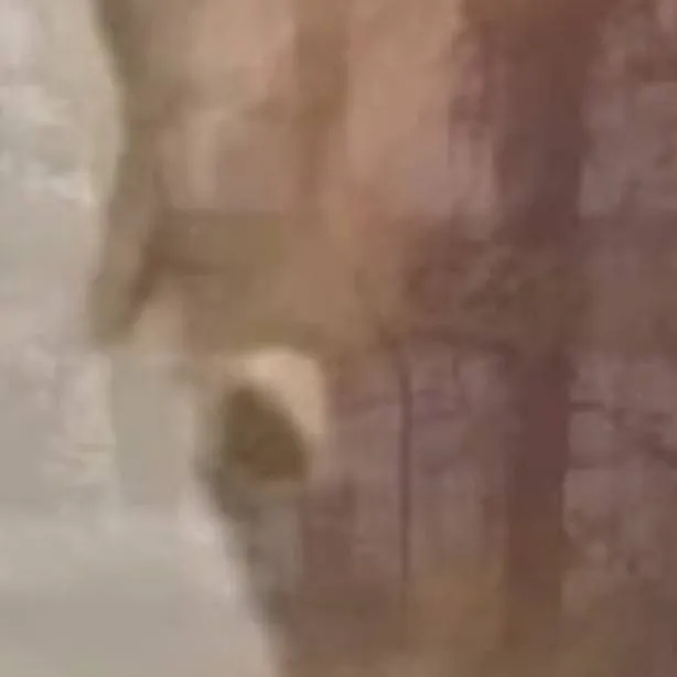 chat with ai character: Kpdh