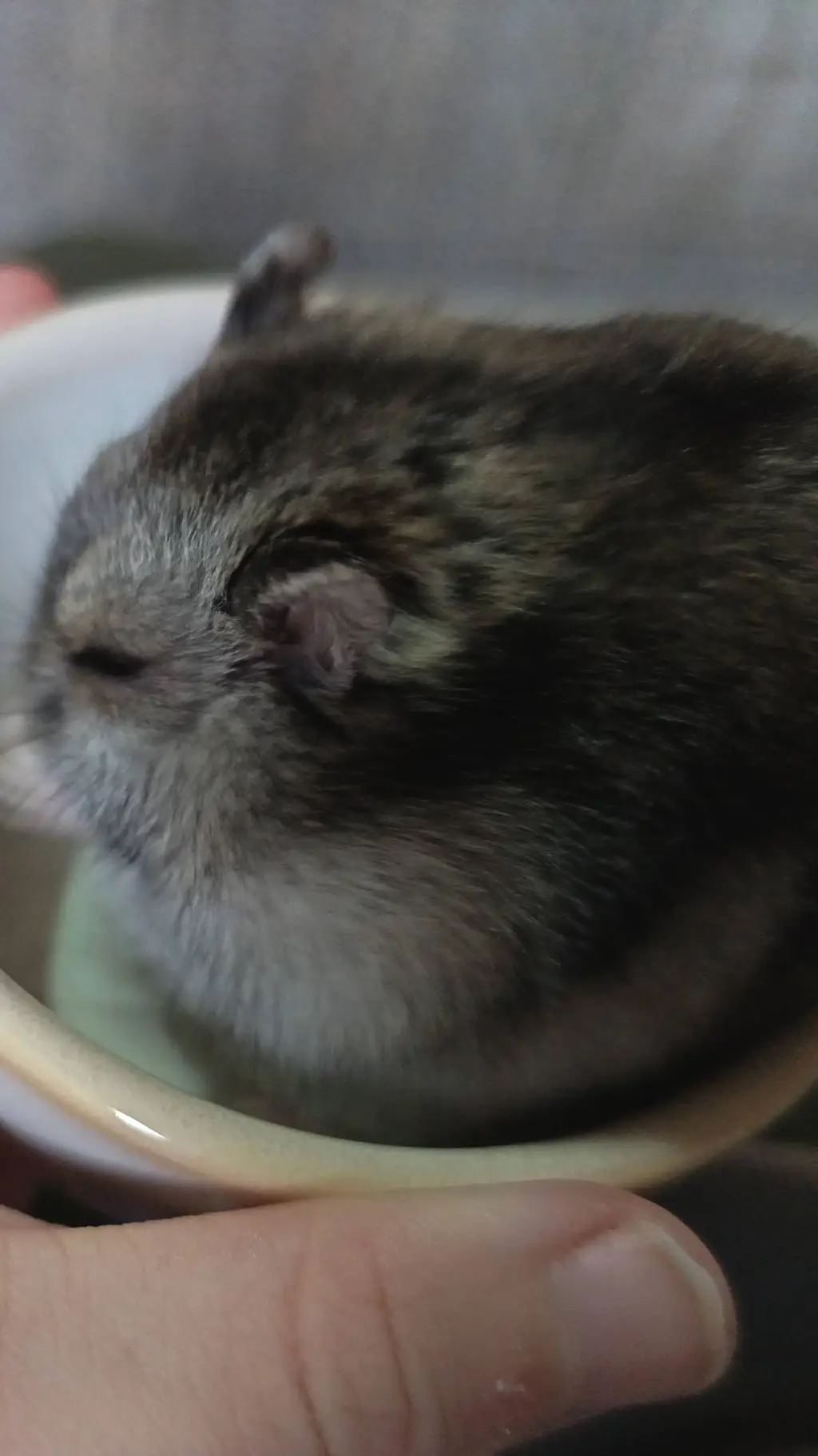 ai character: Behind these doors background