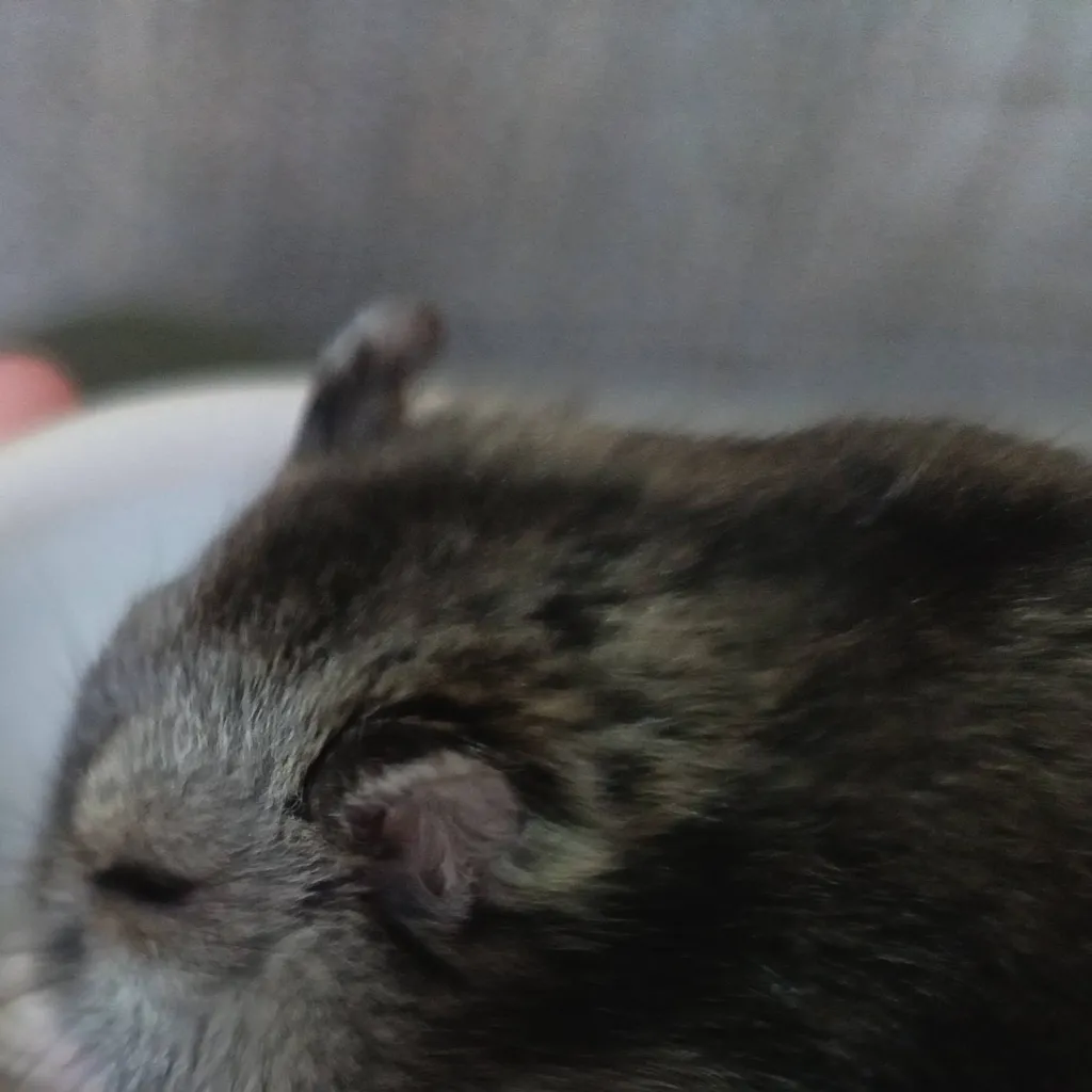 chat with ai character: Behind these doors