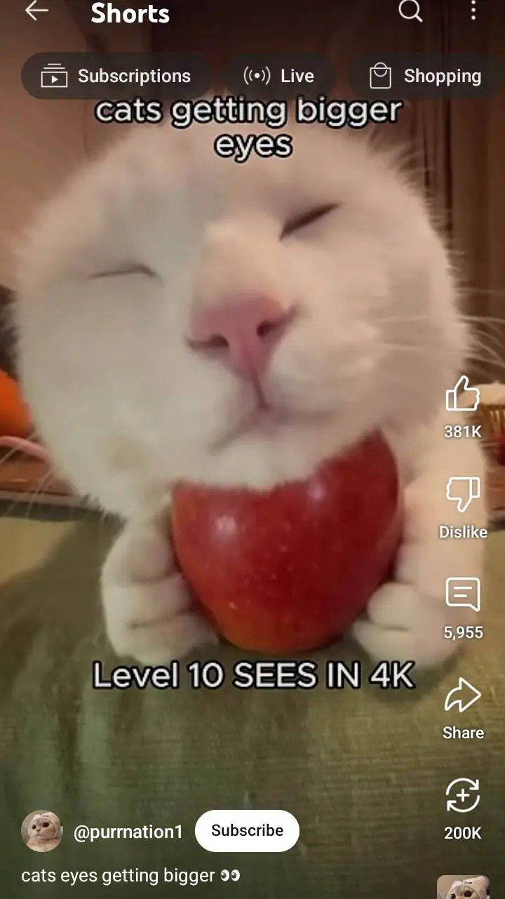 ai character: MHA X YBC! background