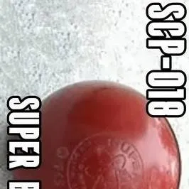 chat with ai character: SCP - 018