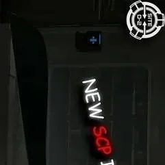 chat with ai character: SCP - 1509 