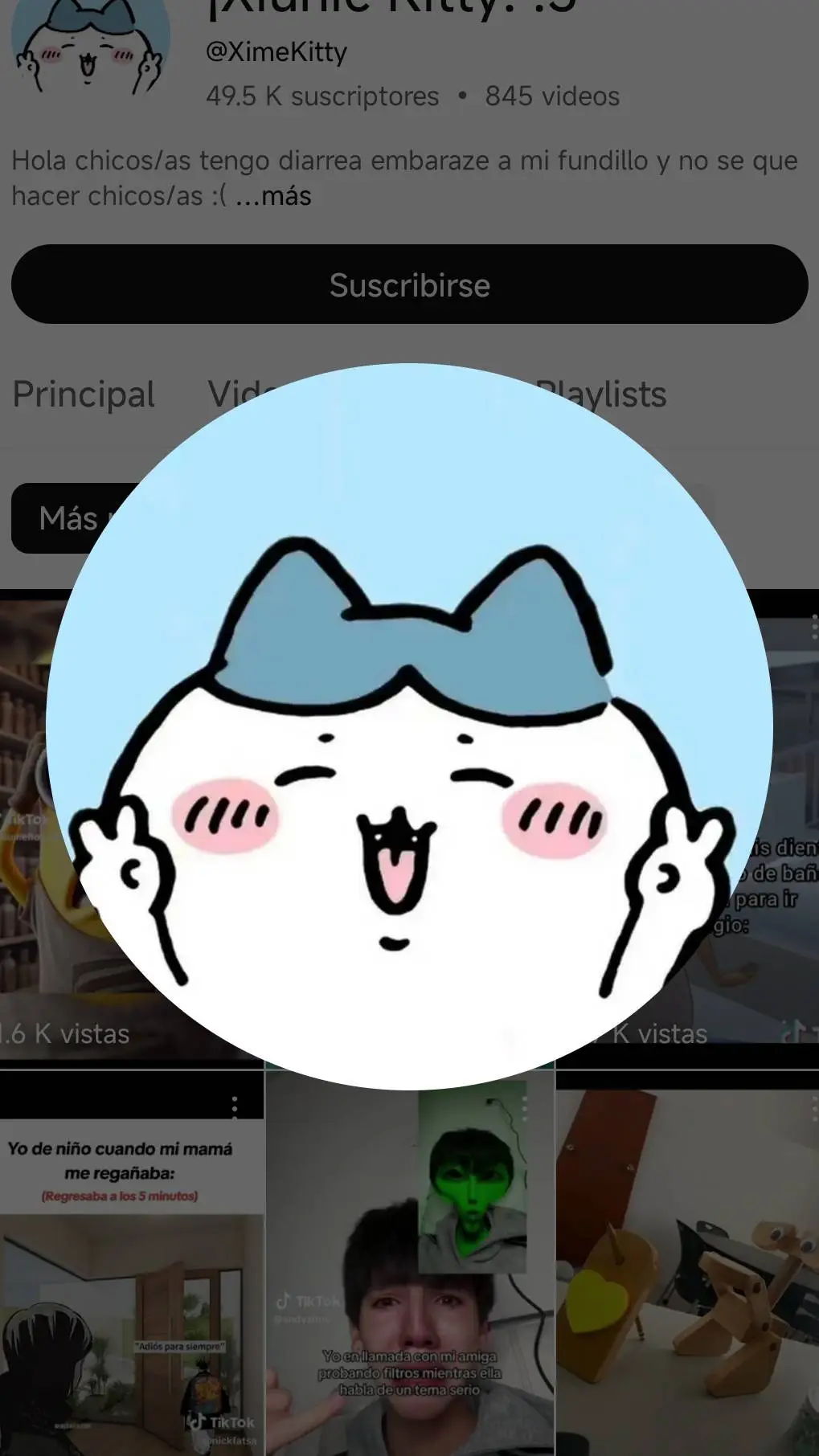 ai character: chikawa background