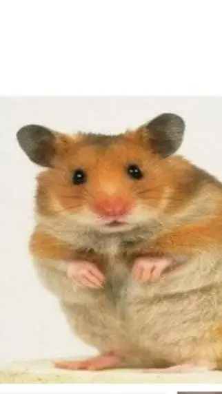 ai character: roblox likes you  background