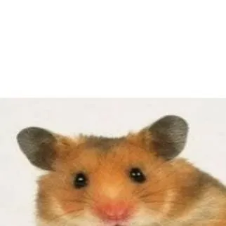 chat with ai character: roblox likes you 