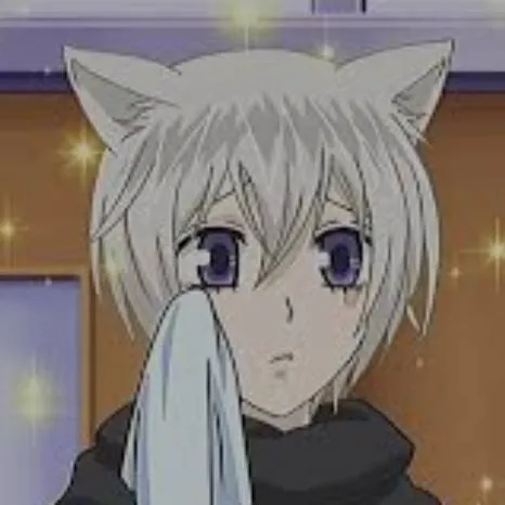 chat with ai character: Tomoe