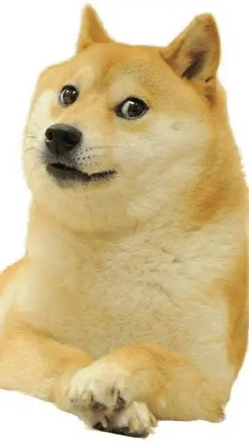 ai character: dogge background