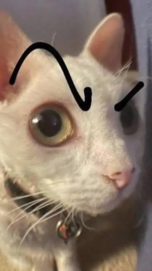 ai character: talemon & baby 1x background