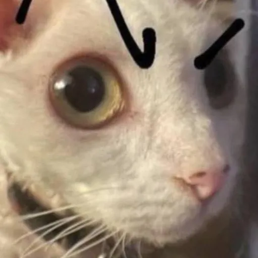 chat with ai character: talemon & baby 1x