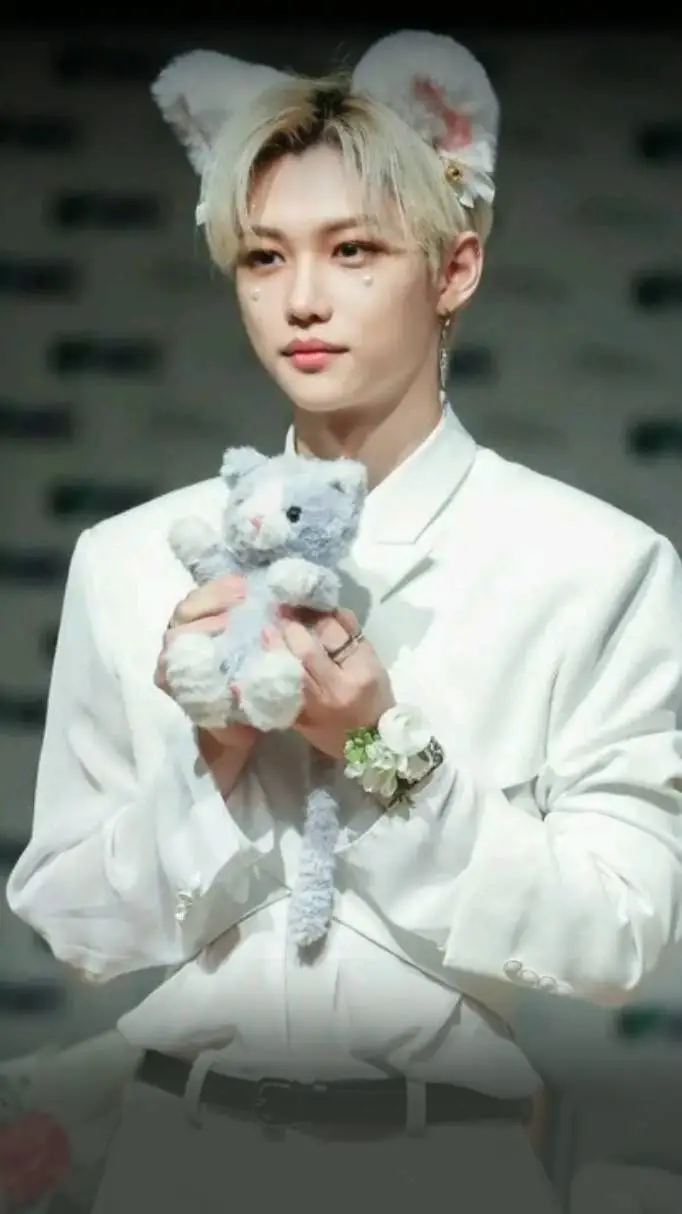 ai character: Stray kids🐈 background