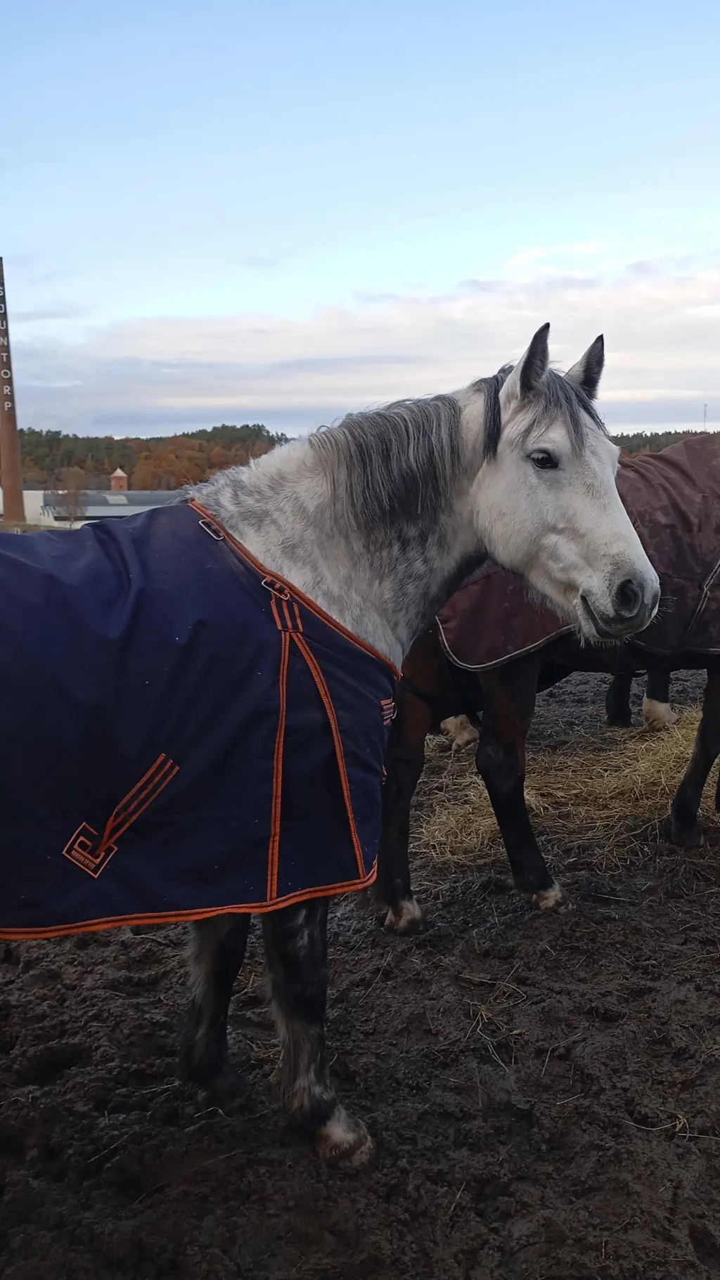 ai character: ~Freddy~ {YOU} background