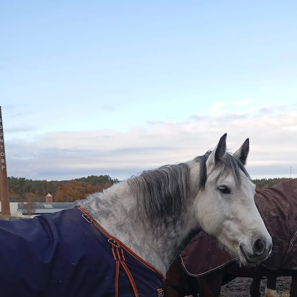 chat with ai character: ~Freddy~ {YOU}