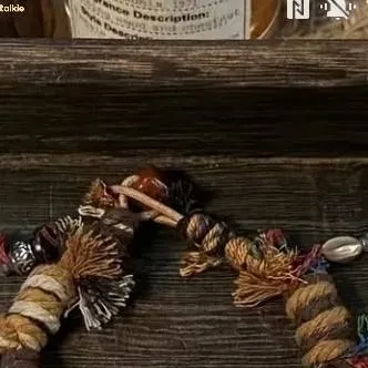 chat with ai character: ray&Tota