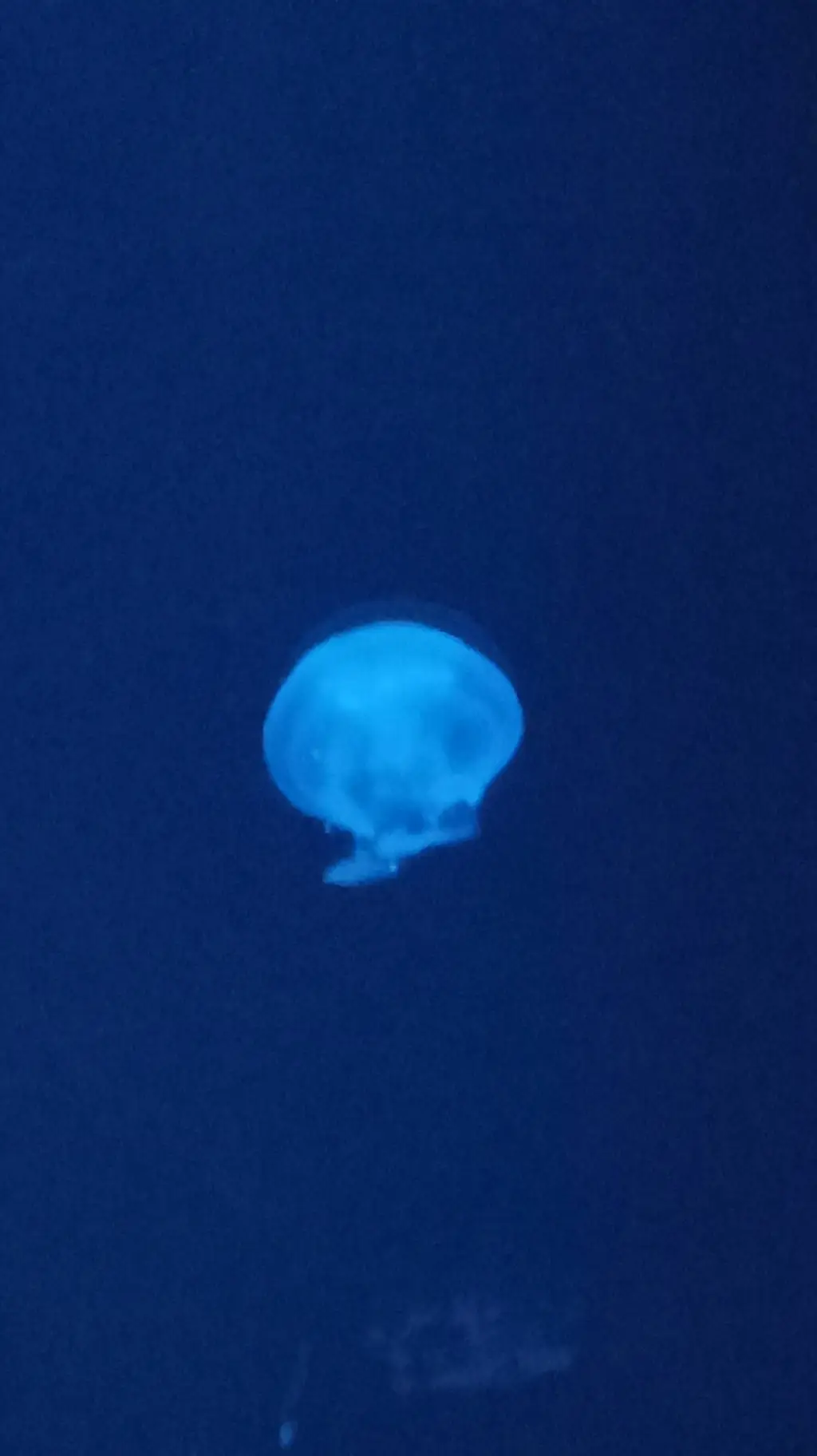 ai character: tu talkie background