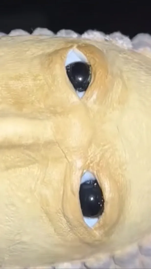 ai character: Corn background