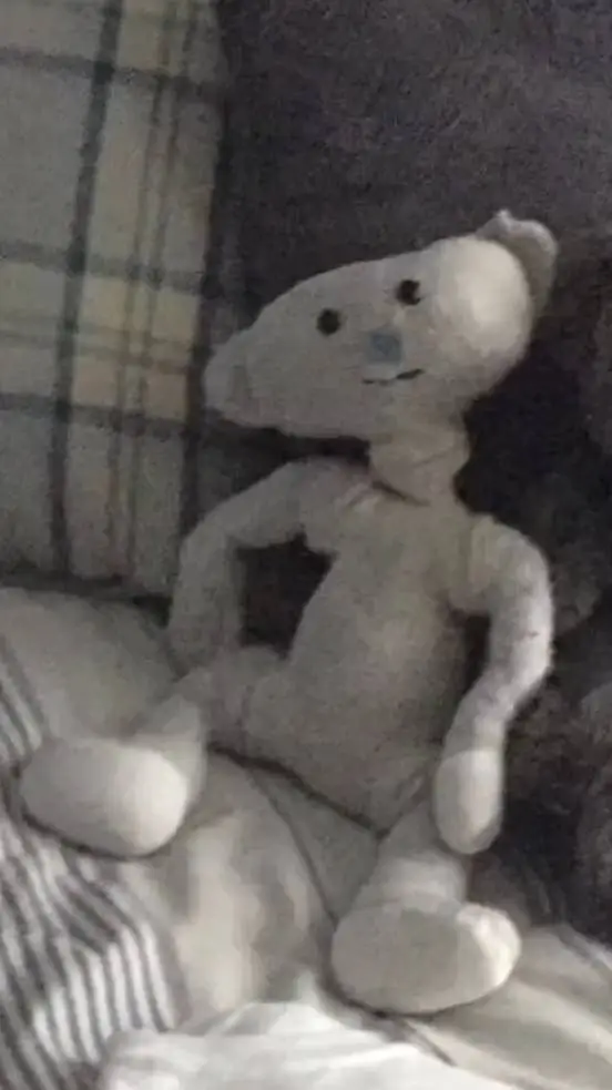 ai character: BEAR background