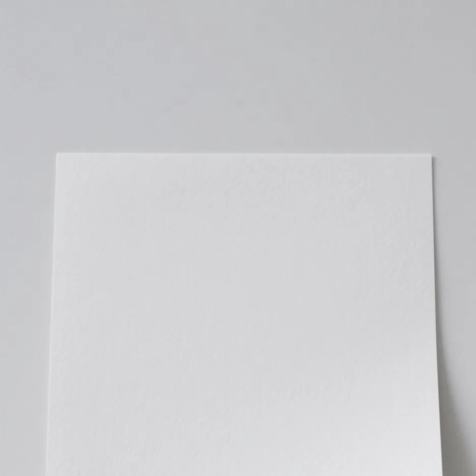 chat with ai character: papel 4k 🤑