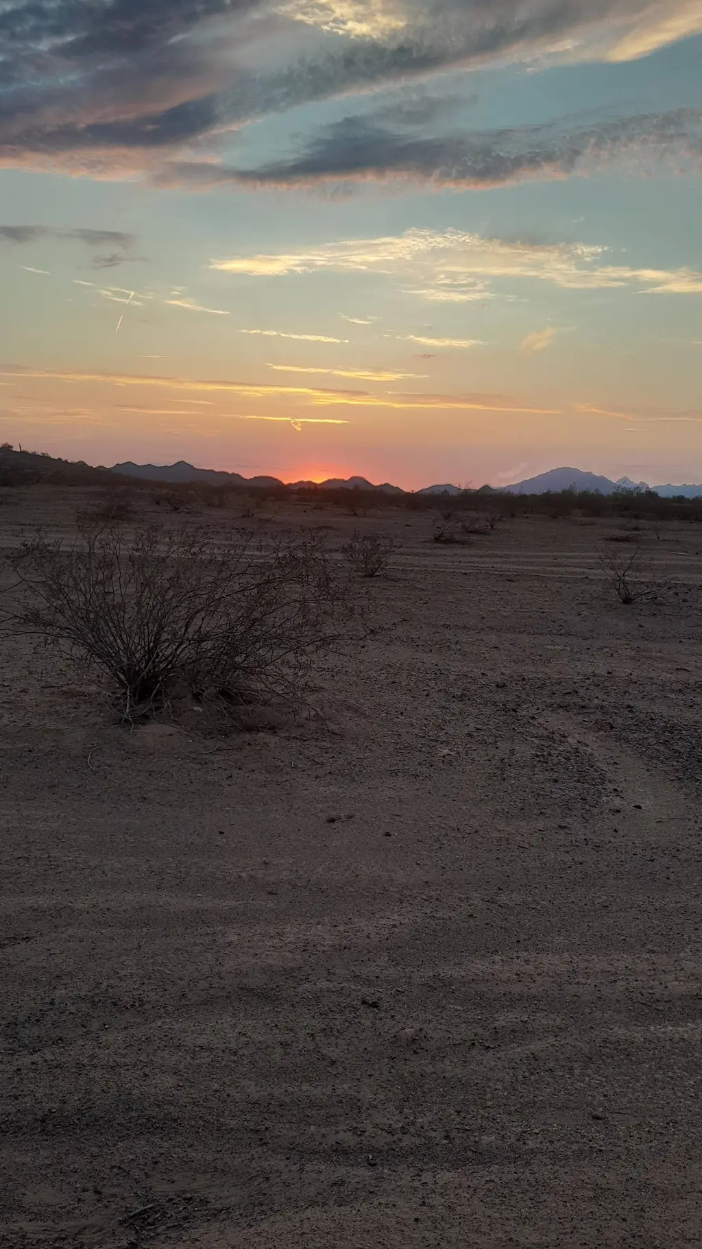 ai character: Carl Gallagher  background