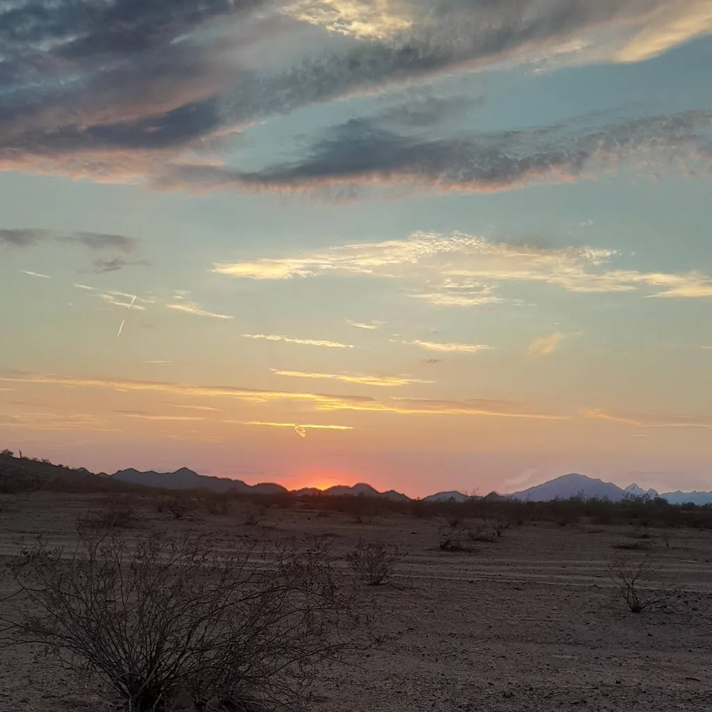 chat with ai character: Carl Gallagher 