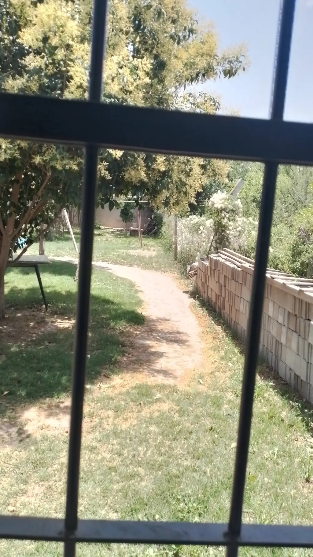 ai character: DobleLife😃/😶 background