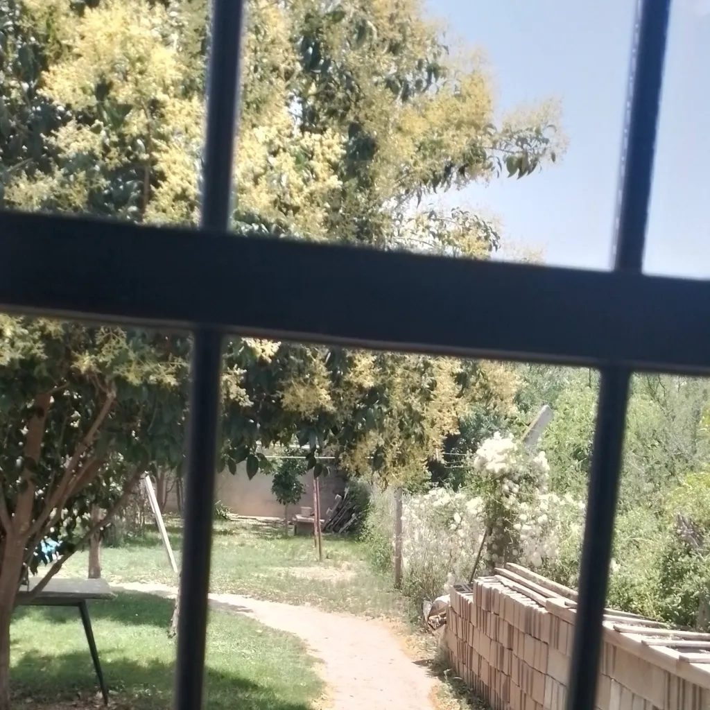 chat with ai character: DobleLife😃/😶