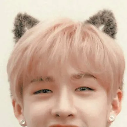 chat with ai character: Bangchan 🌲🌲