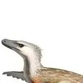 chat with ai character: Veloci