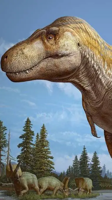 ai character: Tirano background