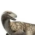 chat with ai character: Deino