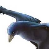 chat with ai character: Micro