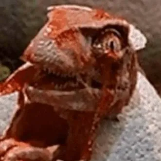 chat with ai character: bebé raptor 