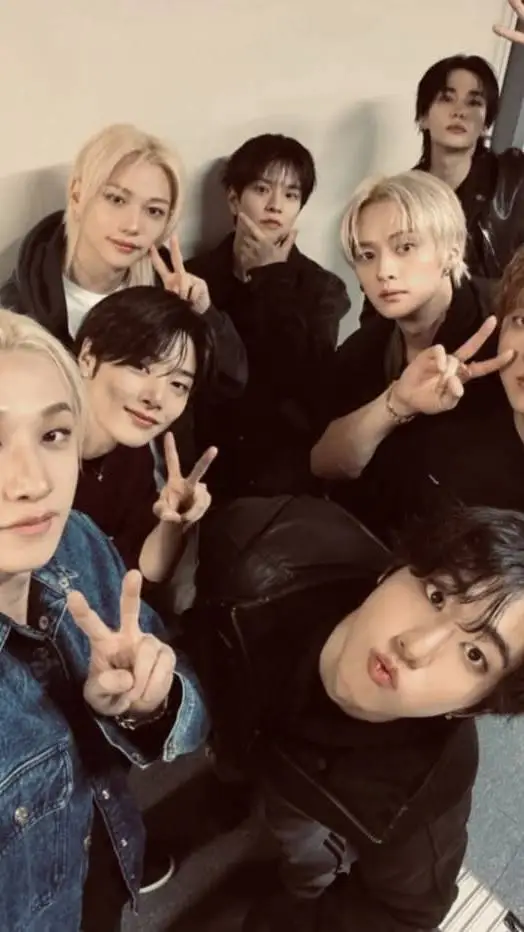 Talkie AI - Chat with straykids concert 