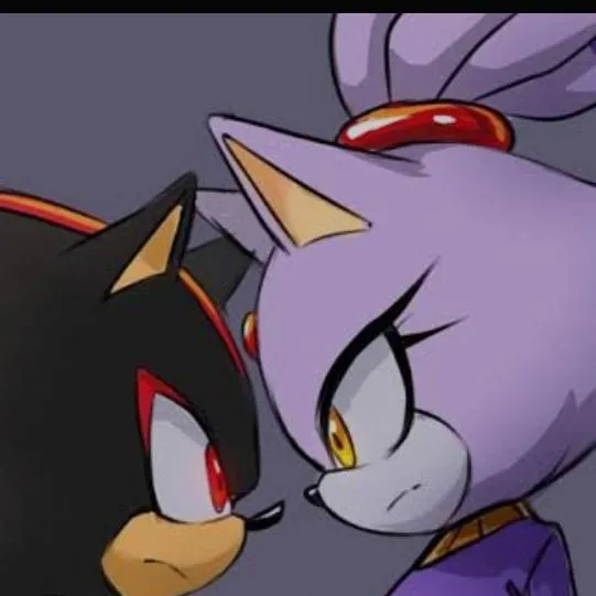 chat with ai character: Blaze y Shadow 