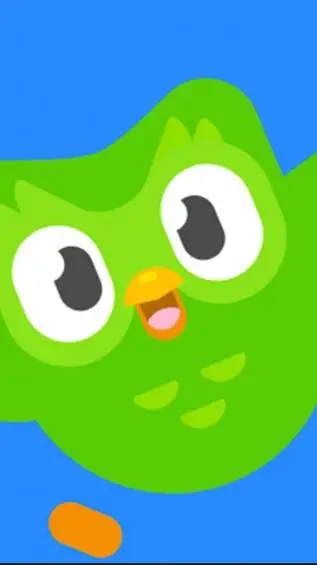 ai character: Duolingo background