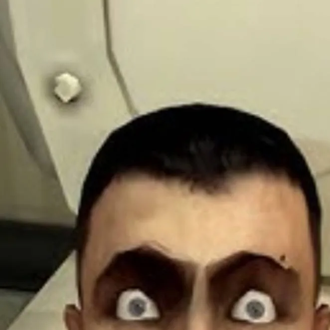 chat with ai character: Toilet armada
