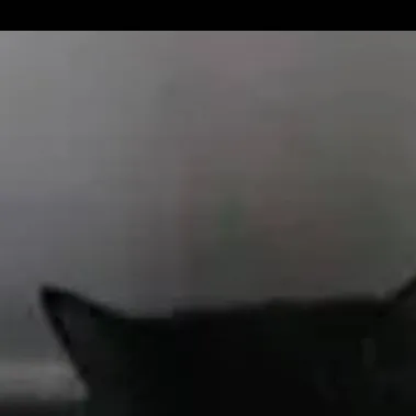 chat with ai character: rubie dit potate