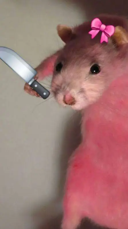 ai character: rat asasin background