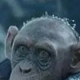 chat with ai character: Bad Ape (2017)