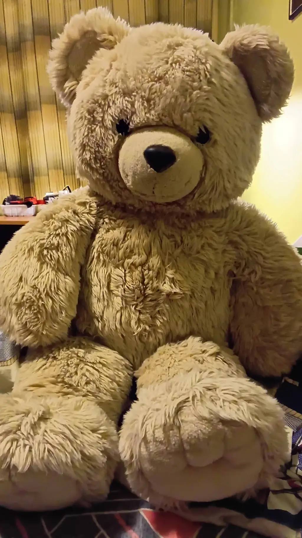 ai character: Teddy background