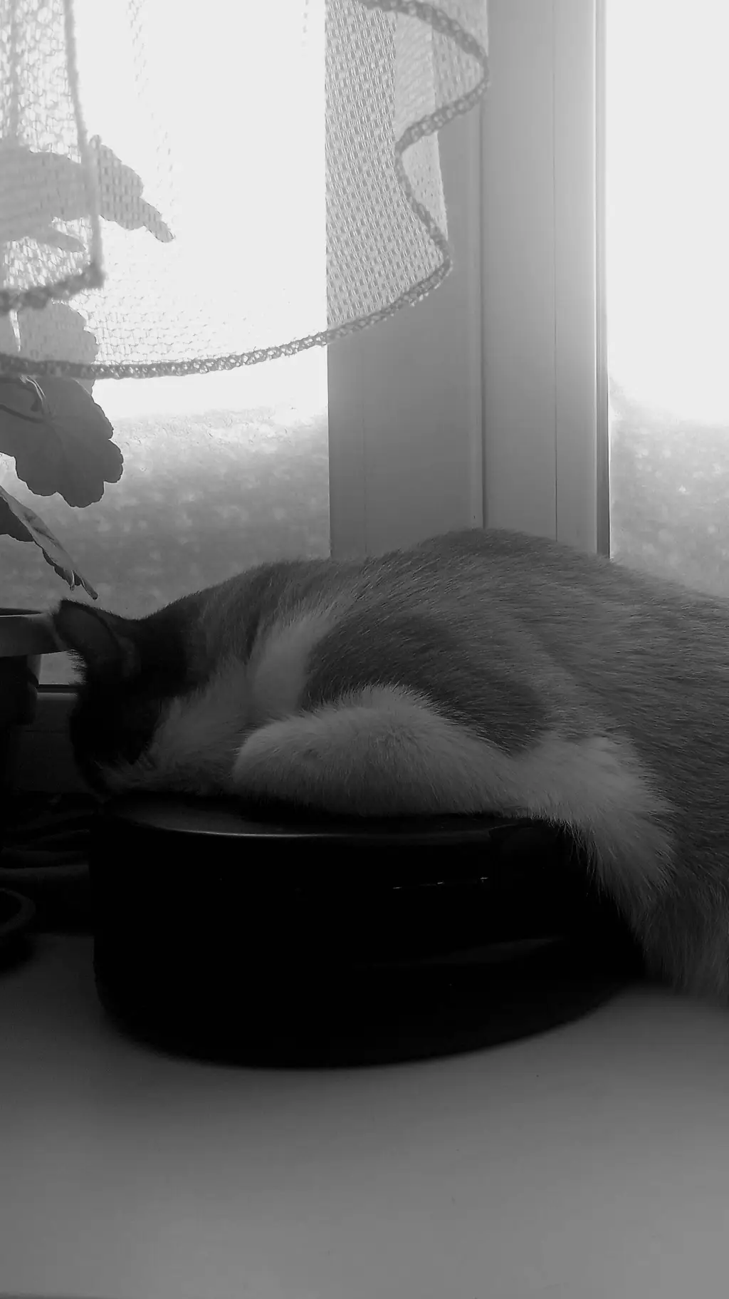 ai character: Гоша background