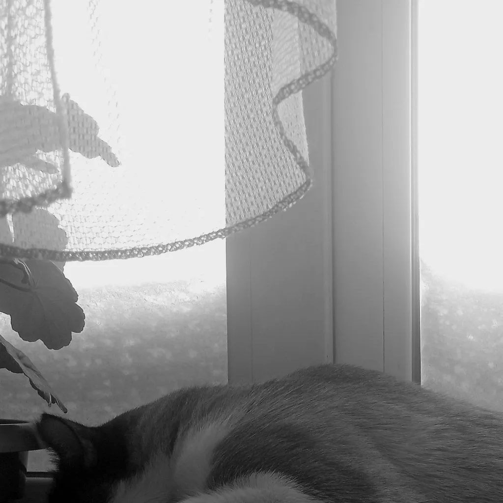 chat with ai character: Гоша