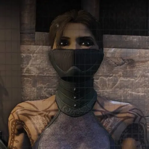 chat with ai character: Arkham City Ninja