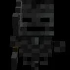 chat with ai character: 🌑Wither skeleton🌑