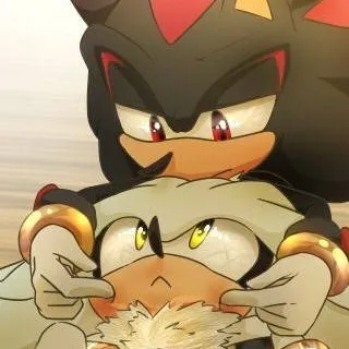 chat with ai character: Shadow and Silve★