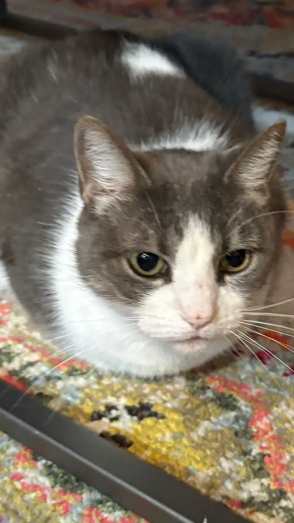 ai character: Two time x 1x1x1x1 background