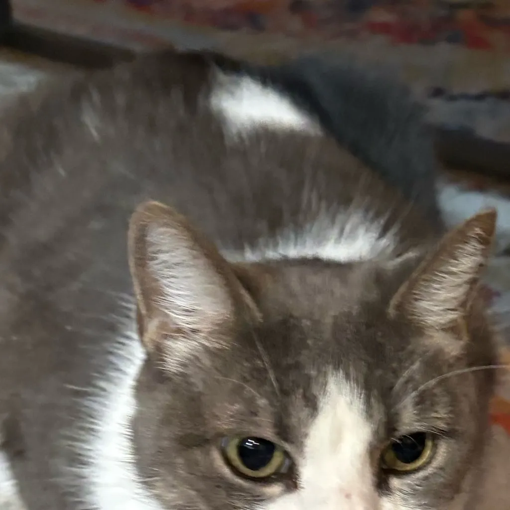 chat with ai character: Two time x 1x1x1x1