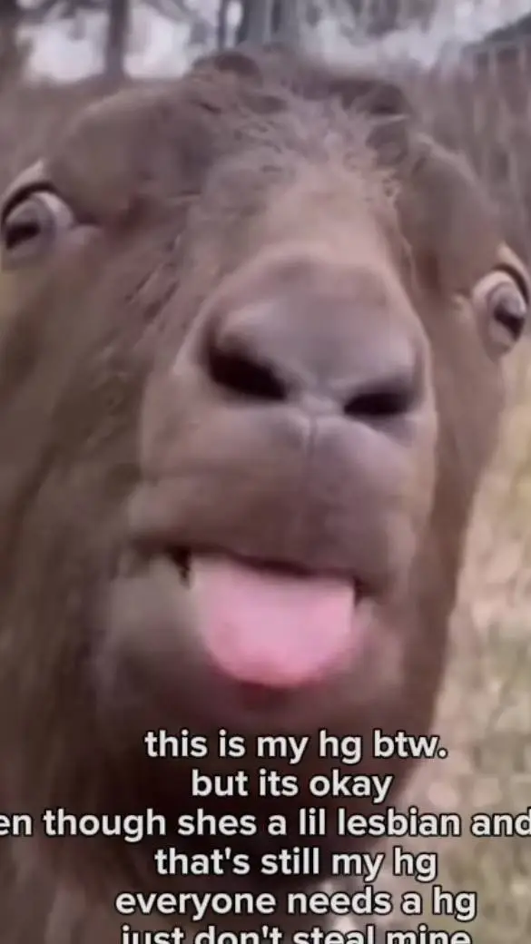 ai character: dw pick me background