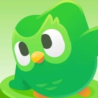 chat with ai character: Duolingo (no meme)