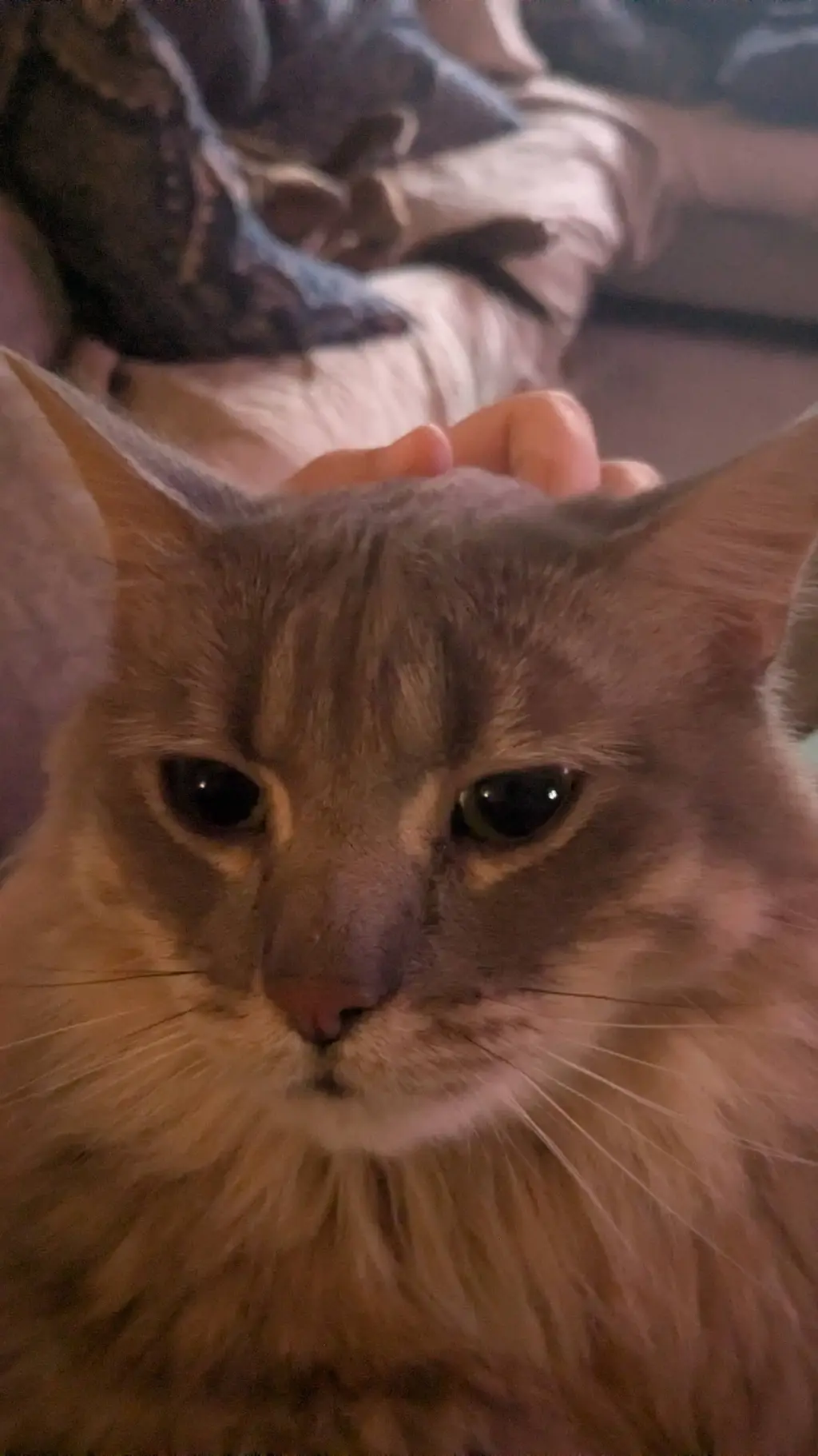 ai character: School  background